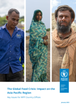 The Global Food Crisis: Impact on the Asia Pacific Region