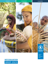 WFP Evaluation Brief 2023