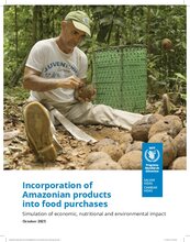 Incorporation of Amazonian products into food purchases: Simulation of economic, nutritional and environmental impact