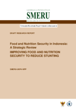 2015 - Food Security and Nutrition Strategic Review - Indonesia