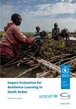 South Sudan, Resilience Learning: Impact evaluation