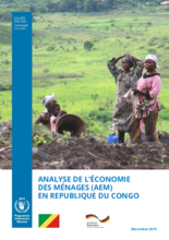 Analyse de l’économie des ménages en Republique du Congo