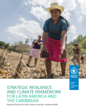 STRATEGIC RESILIENCE AND CLIMATE FRAMEWORK FOR LATIN AMERICA AND THE CARIBBEAN 2022