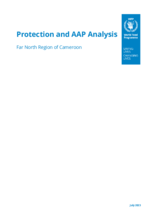 2023 - WFP Cameroon Protection Risk Analysis Report, Far North Region