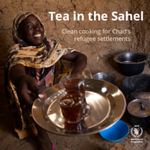 Tea in the Sahel: Clean cooking for Chad’s refugee settlements 