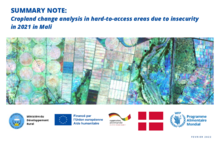 SUMMARY NOTE: Cropland change analysis in hard-to-access areas due to insecurity in 2021 in Mali    