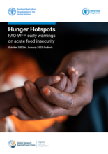 Hunger Hotspots FAO-WFP early warnings on acute food insecurity October 2022 to January 2023 Outlook 