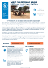 World Food Programme Namibia 2020 Annual Country Report  Factsheet