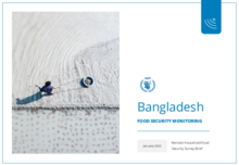 WFP Bangladesh - Mobile Vulnerability Analysis and Mapping (mVAM) reports  