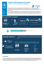 Annual Country Reports - Eswatini