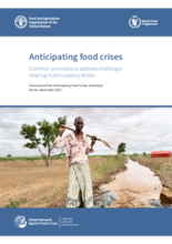 2023 - Anticipating food crises: Common principles to address challenges relating to Anticipatory Action. Outcomes of the 2022 Anticipating Food Crises workshop 