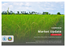 Cambodia - Market Update – 2021