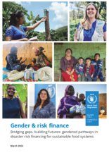Gender & risk finance: Bridging gaps, building futures: gendered pathways in disaster risk financing for sustainable food systems - March 2024