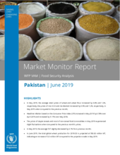 2019 - Pakistan Market Monitor Report