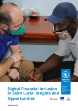 Digital Financial Inclusion:  Insights and Opportunities 