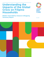 Understanding the Impacts of the Global Crisis on Filipino Households