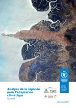 Climate Response Analysis for Guinea