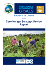 2017 - Strategic Review - Liberia