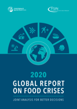 hunger crisis essay 2020 - Global Report on Food Crises