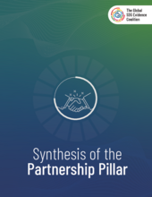Evidence Synthesis of the Partnership Pillar of the SDGs