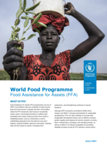 WFP Food Assistance for Assets (FFA) - 2021