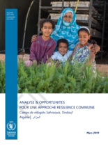 Analyse & opportunités pour une approche résilience commune dans les camps de réfugiés Sahraouis en Algérie