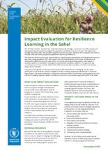 Impact Evaluation for Resilience Learning in the Sahel: Brief