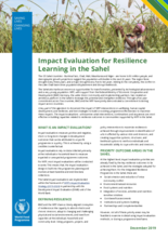 Impact Evaluation for Resilience Learning in the Sahel: Brief