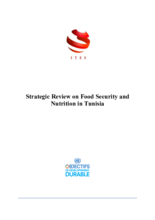 2017 - Strategic Review on Food Security and Nutrition - Tunisia