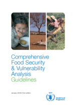 Comprehensive Food Security & Vulnerability Analysis (CFSVA) Guidelines - First Edition, 2009