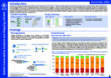  Jordan Mobile Vulnerability Analysis and Mapping (mVAM) - December 2020