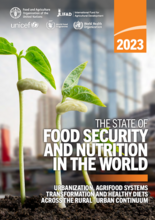 The State of Food Security and Nutrition in the World (SOFI) Report - 2023