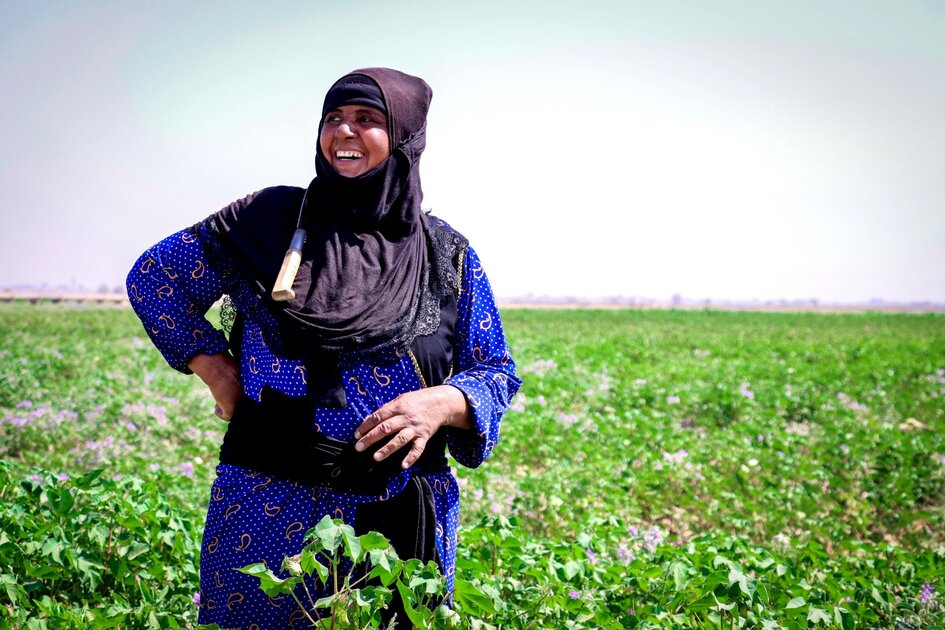 COP27: How WFP is responding to the climate crisis in the Middle East ...