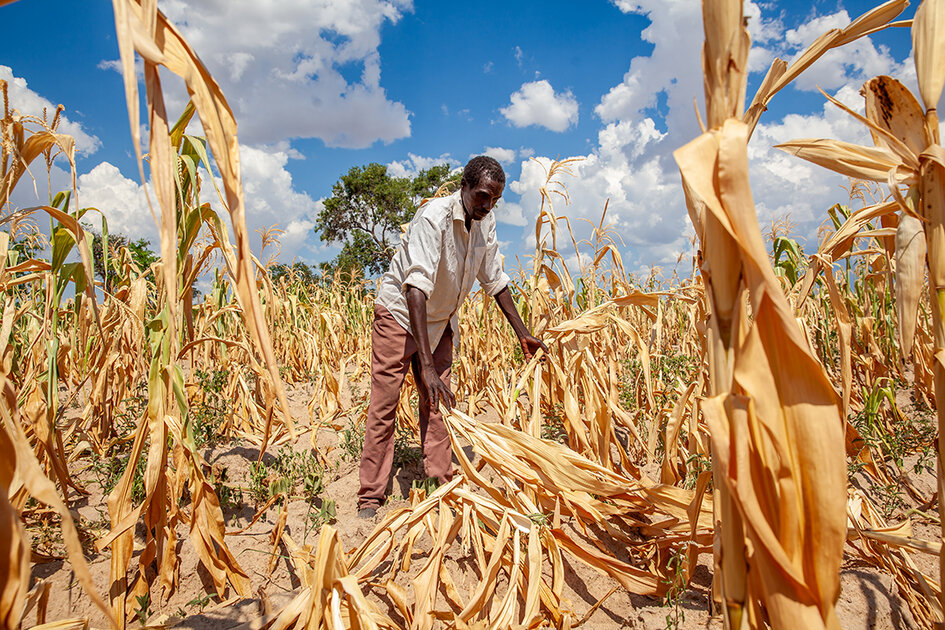 As El Niño intensifies floods and droughts, early action pays off - Vimarsana News