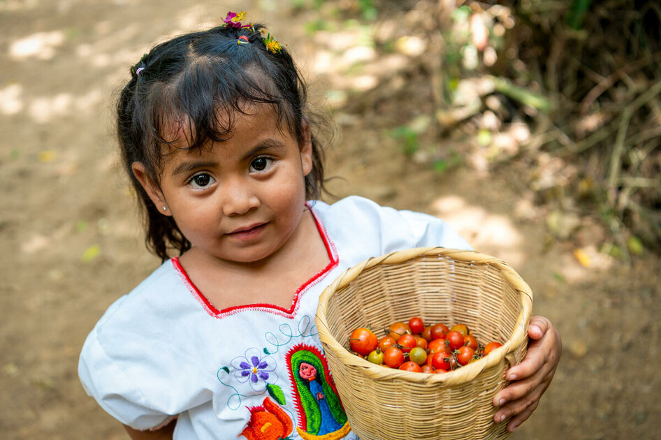 Guatemala |  Programa Mundial de Alimentos