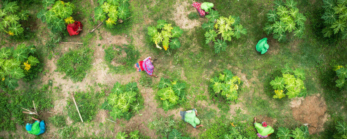 Annual Country Reports 2021 | World Food Programme