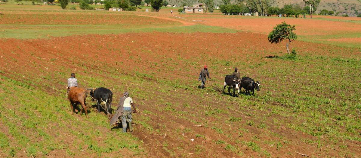 Lesotho | World Food Programme