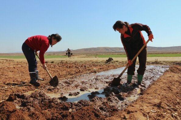 After worst harvest in ten years, 10 million people in DPRK face imminent food shortages | World Food Programme