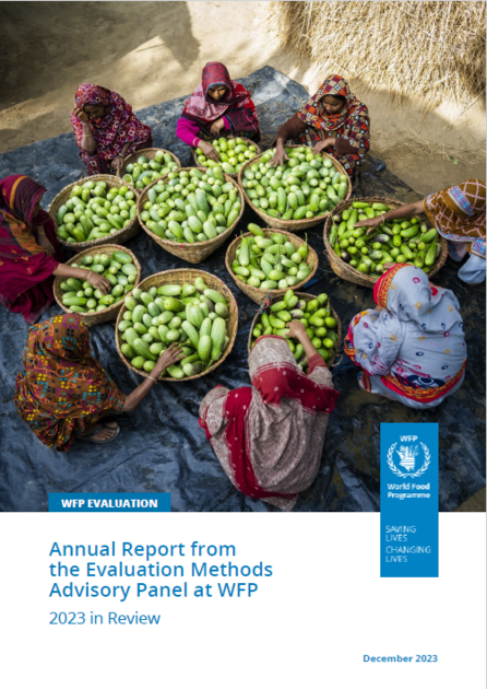 Evaluation Methods Advisory Panel at WFP – 2023 in Review | World Food ...