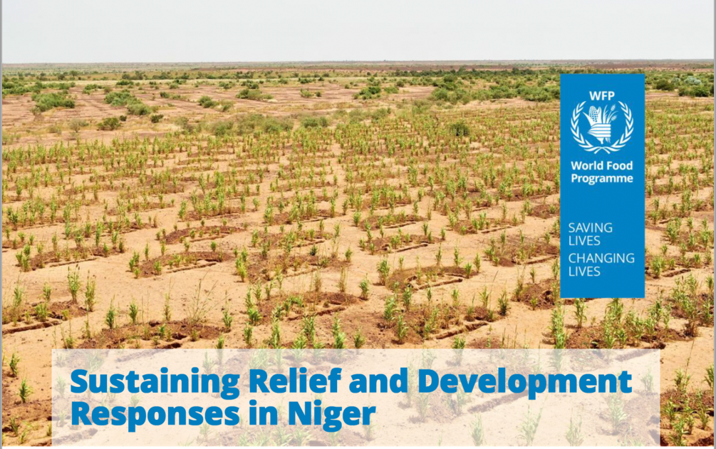 Sustaining Relief and Development Responses in Niger | World Food Programme