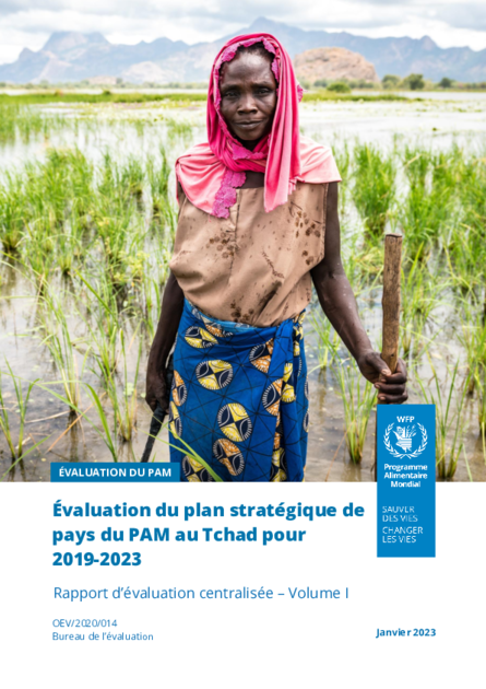 Evaluation of Chad WFP Country Strategic Plan 2019-2023 | World Food ...