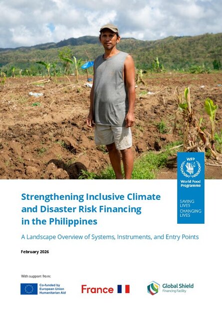 Strengthening Inclusive Climate and Disaster Risk Financing in the Philippines: A Landscape Overview