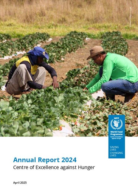 Annual Report 2024 – WFP Centre of Excellence against Hunger - Brazil ...