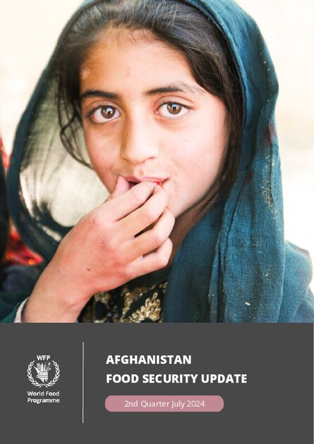 Afghanistan mVAM Household Food Security Survey | World Food Programme