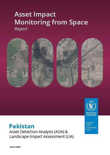 Asset Impact Monitoring from Space: Report