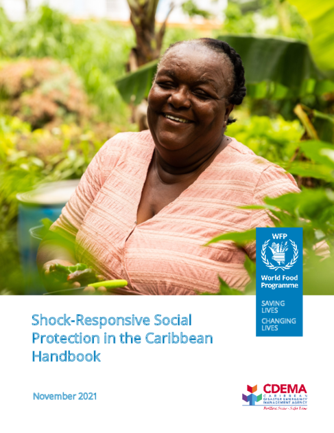 Research Programme on Shock-Responsive Social Protection in the ...