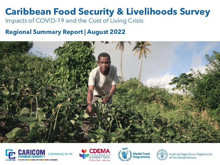 Caribbean Food Security & Livelihoods Survey – August 2022 | World Food ...