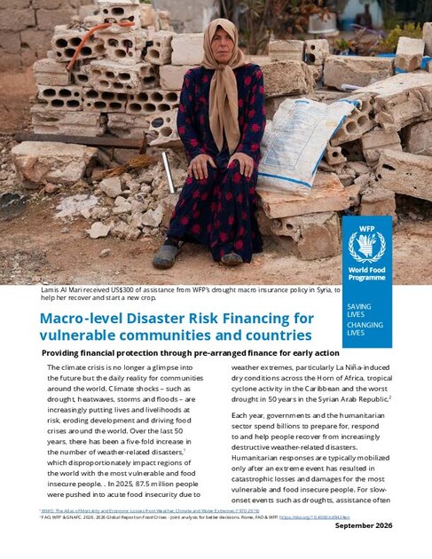 Macro-level Disaster Risk Financing for vulnerable communities and countries