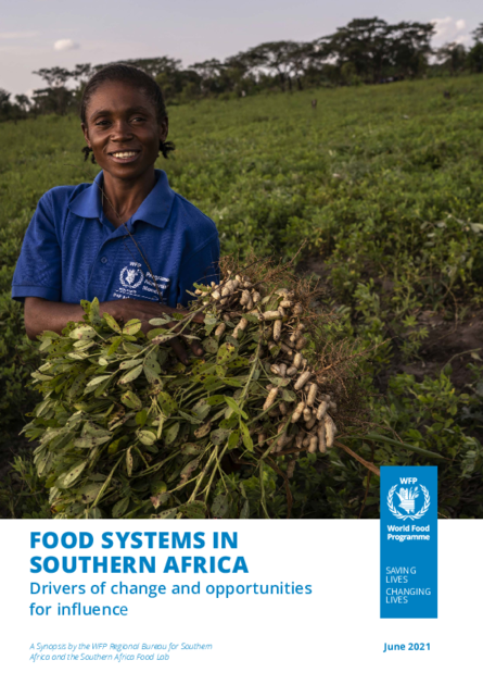 Food systems in Southern Africa : Drivers of change and opportunities ...