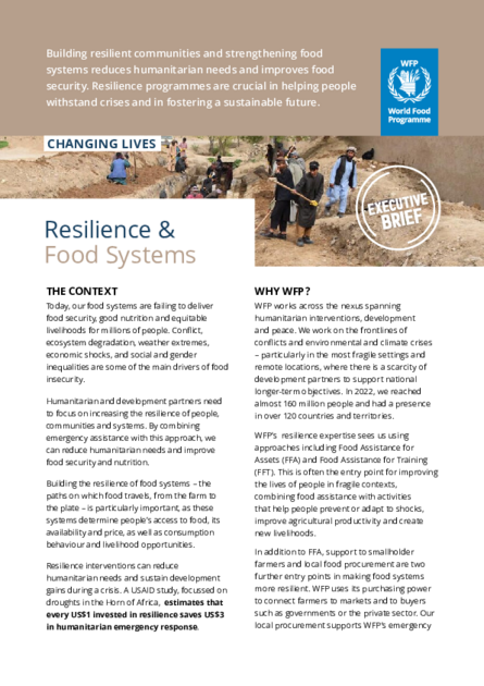Changing Lives - Resilience and Food Systems | World Food Programme